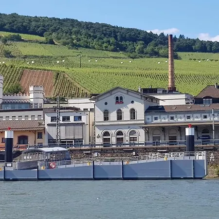 Lägenhet Flussbett Im Bauhaus